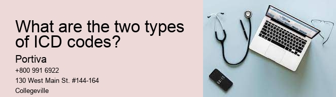What are the two types of ICD codes?